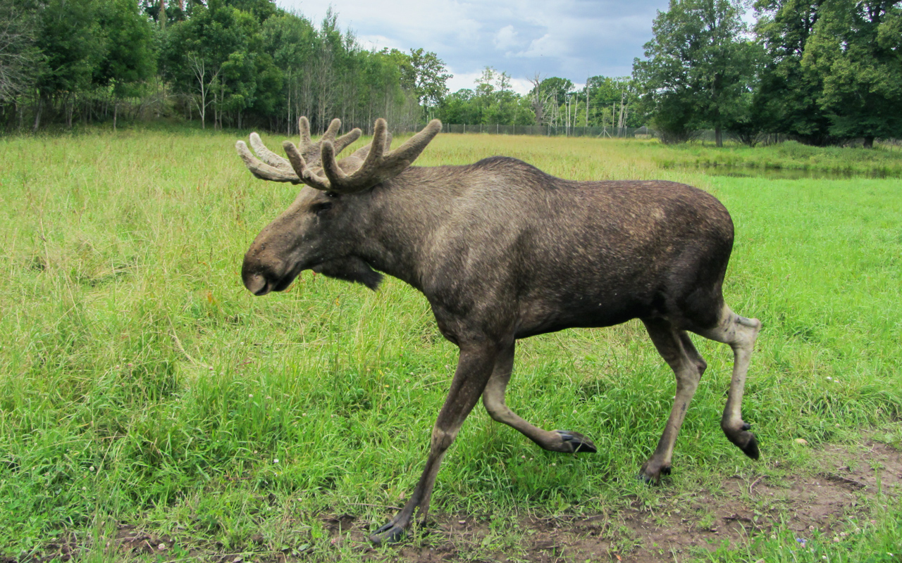Holsbybrunn | Schweden