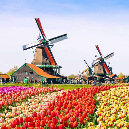 Niederlande