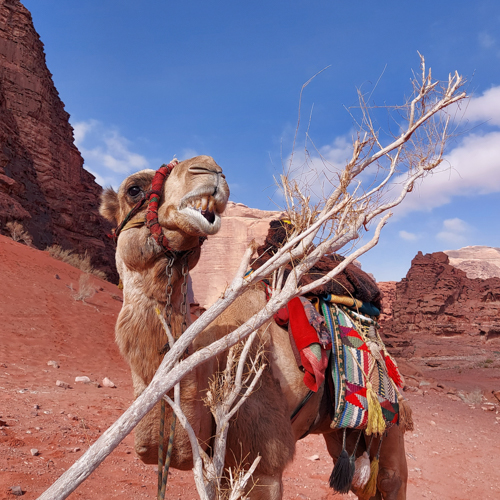Jordanien
