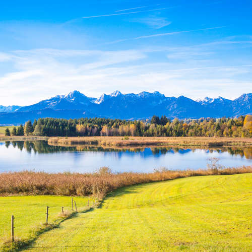 Forggensee