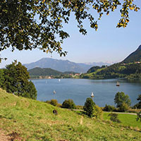 Alpseehof