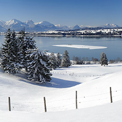 Forggensee